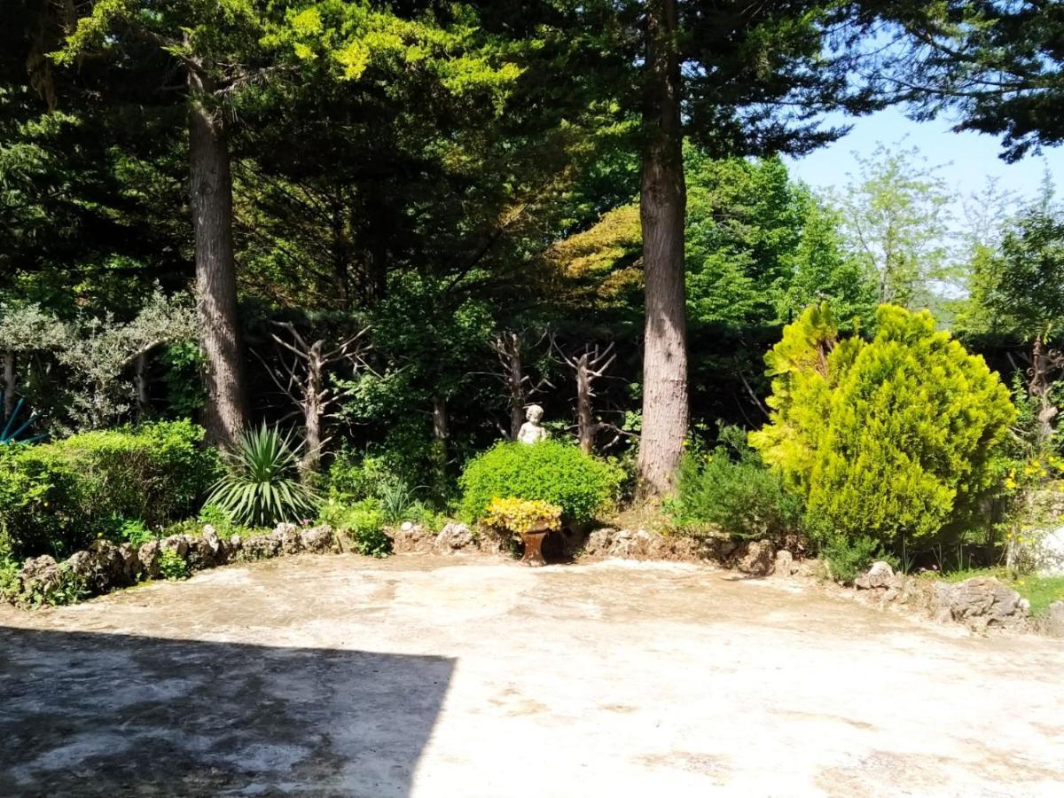 La Casa Di Anna Nel Parco Della Majella Abruzzo Rapino Ch Villa Buitenkant foto