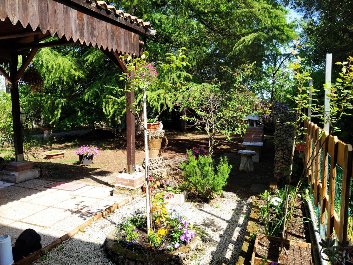 La Casa Di Anna Nel Parco Della Majella Abruzzo Rapino Ch Villa Buitenkant foto