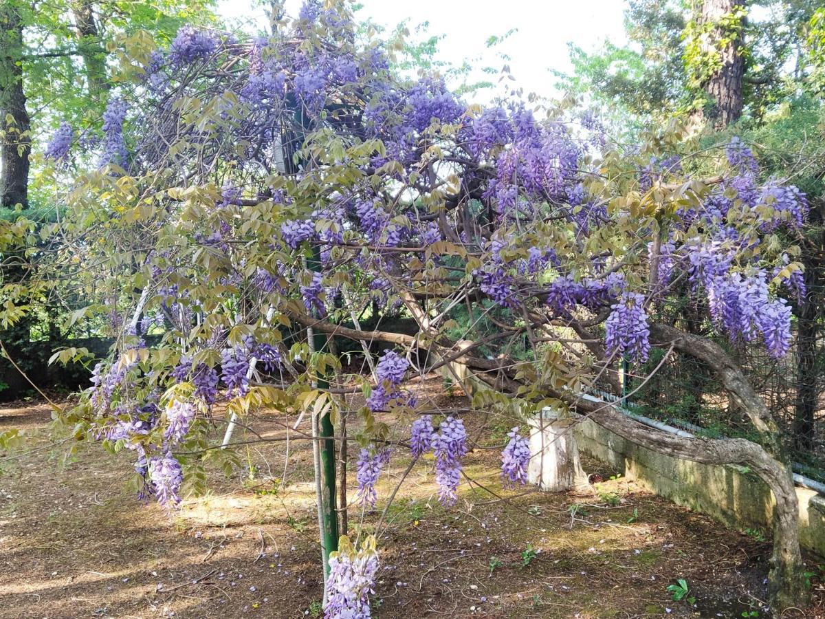 La Casa Di Anna Nel Parco Della Majella Abruzzo Rapino Ch Villa Buitenkant foto